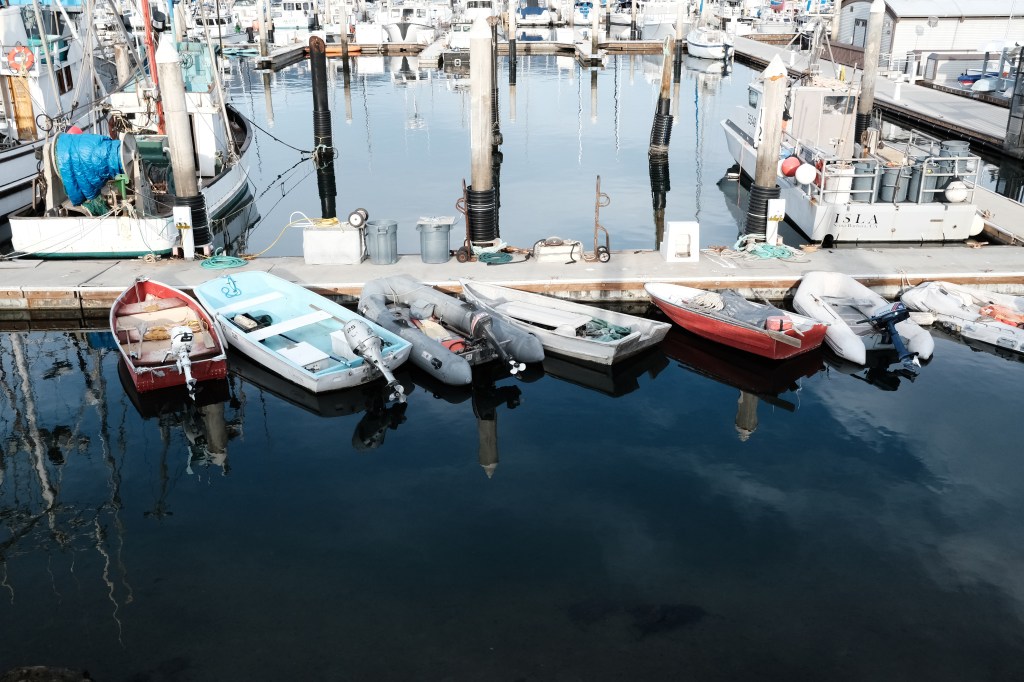 Homeless in Paradise